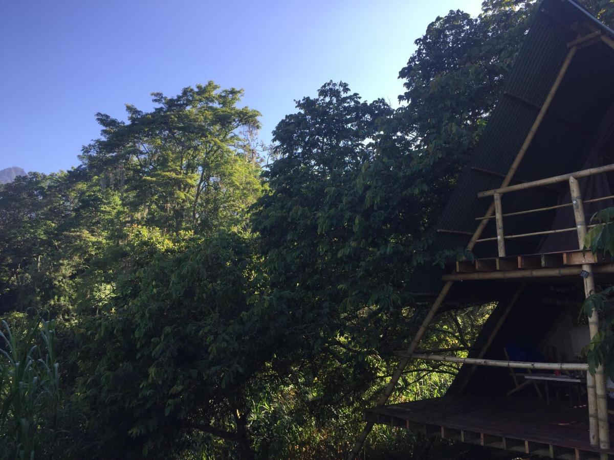 Glamping El Arbol En La Casa Villa San Antonio del Tequendama Kültér fotó