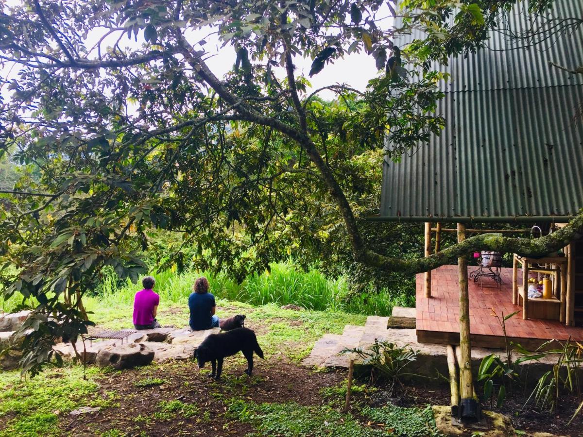 Glamping El Arbol En La Casa Villa San Antonio del Tequendama Kültér fotó