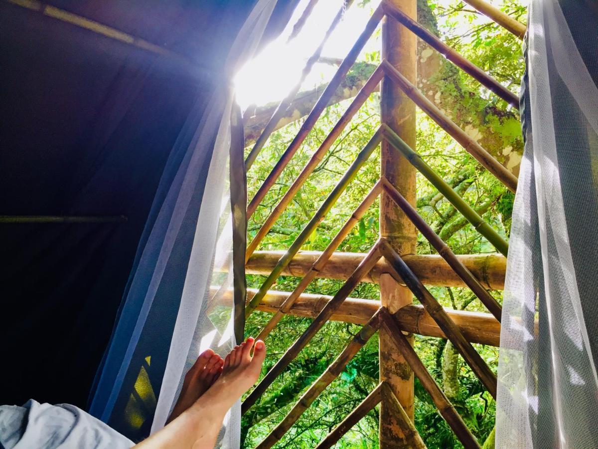 Glamping El Arbol En La Casa Villa San Antonio del Tequendama Kültér fotó