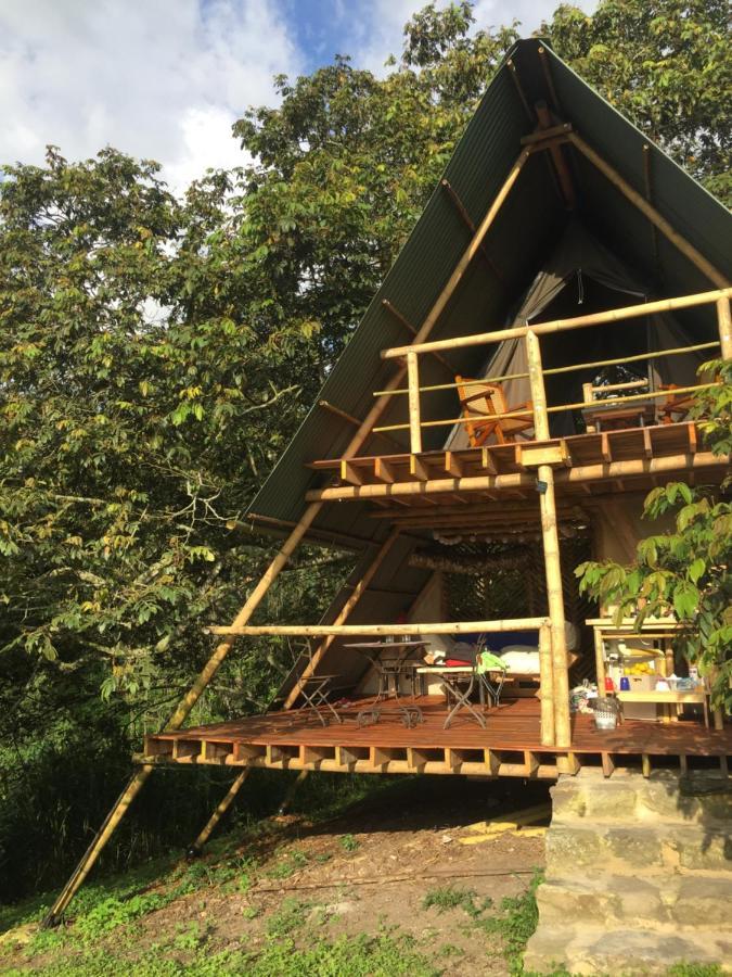 Glamping El Arbol En La Casa Villa San Antonio del Tequendama Kültér fotó