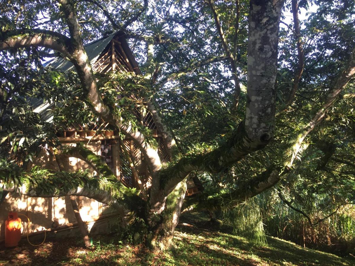 Glamping El Arbol En La Casa Villa San Antonio del Tequendama Kültér fotó