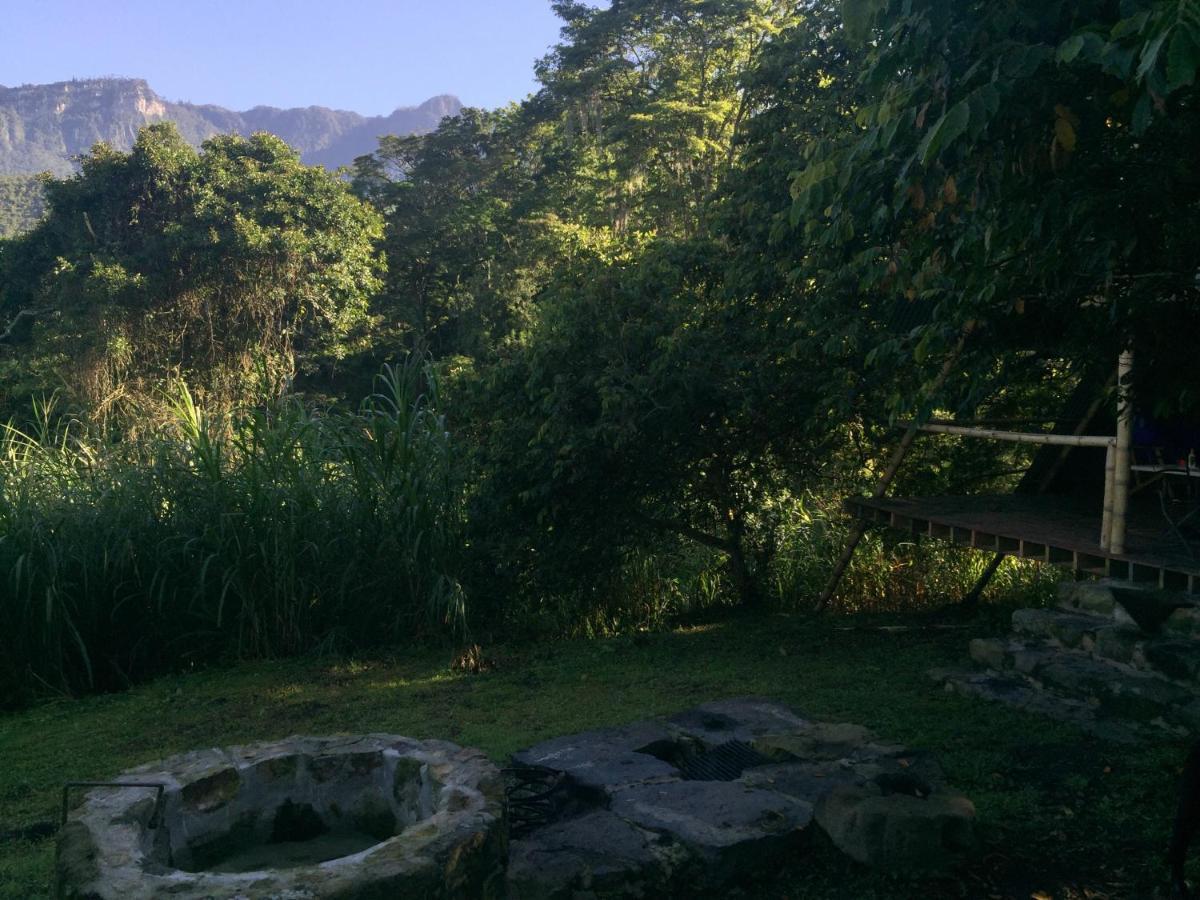 Glamping El Arbol En La Casa Villa San Antonio del Tequendama Kültér fotó