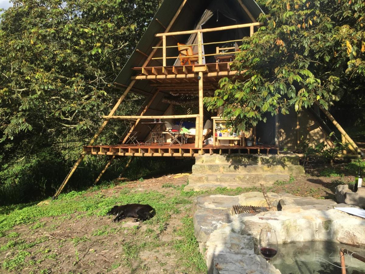 Glamping El Arbol En La Casa Villa San Antonio del Tequendama Kültér fotó