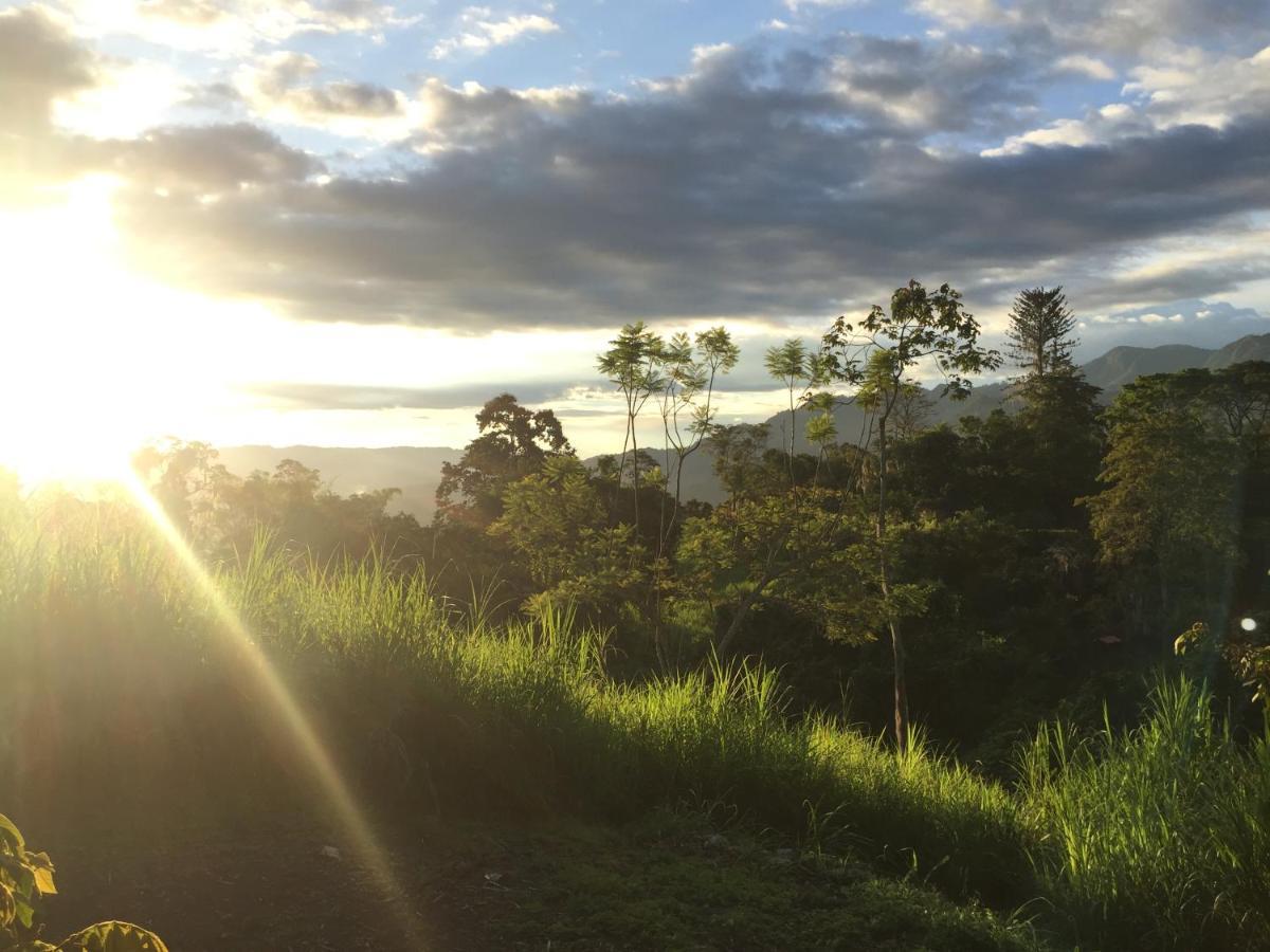 Glamping El Arbol En La Casa Villa San Antonio del Tequendama Kültér fotó