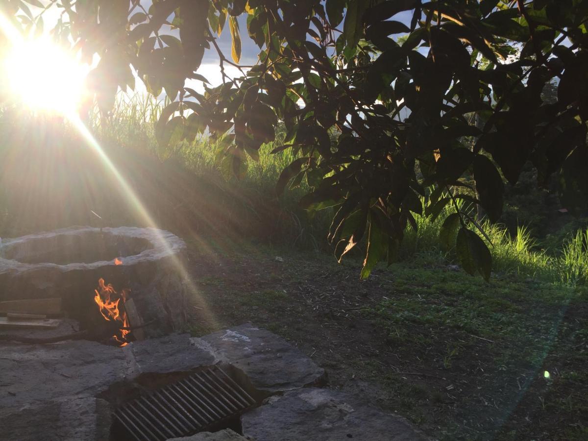 Glamping El Arbol En La Casa Villa San Antonio del Tequendama Kültér fotó