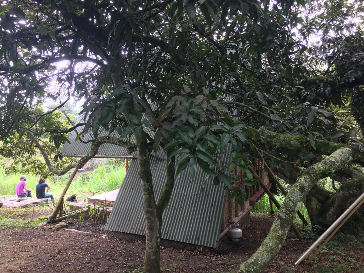 Glamping El Arbol En La Casa Villa San Antonio del Tequendama Kültér fotó